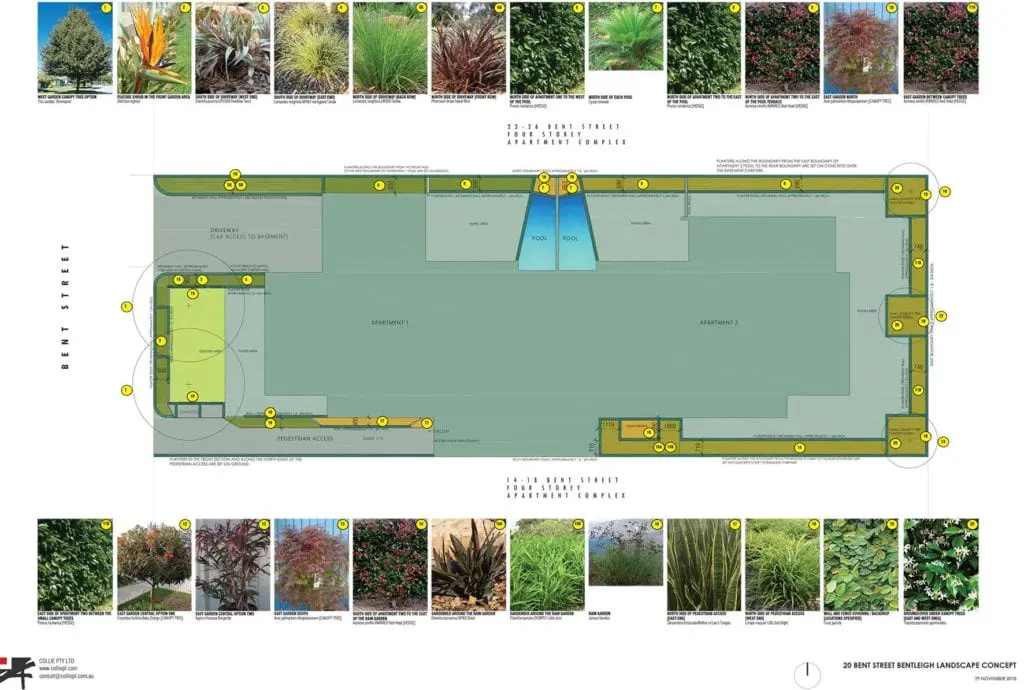 LA2 20 bent street bentleigh ground level landscape concept 001