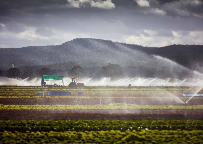 Action Plan: Green Wedges and Farming - Collie Town Planners PTY LTD ...